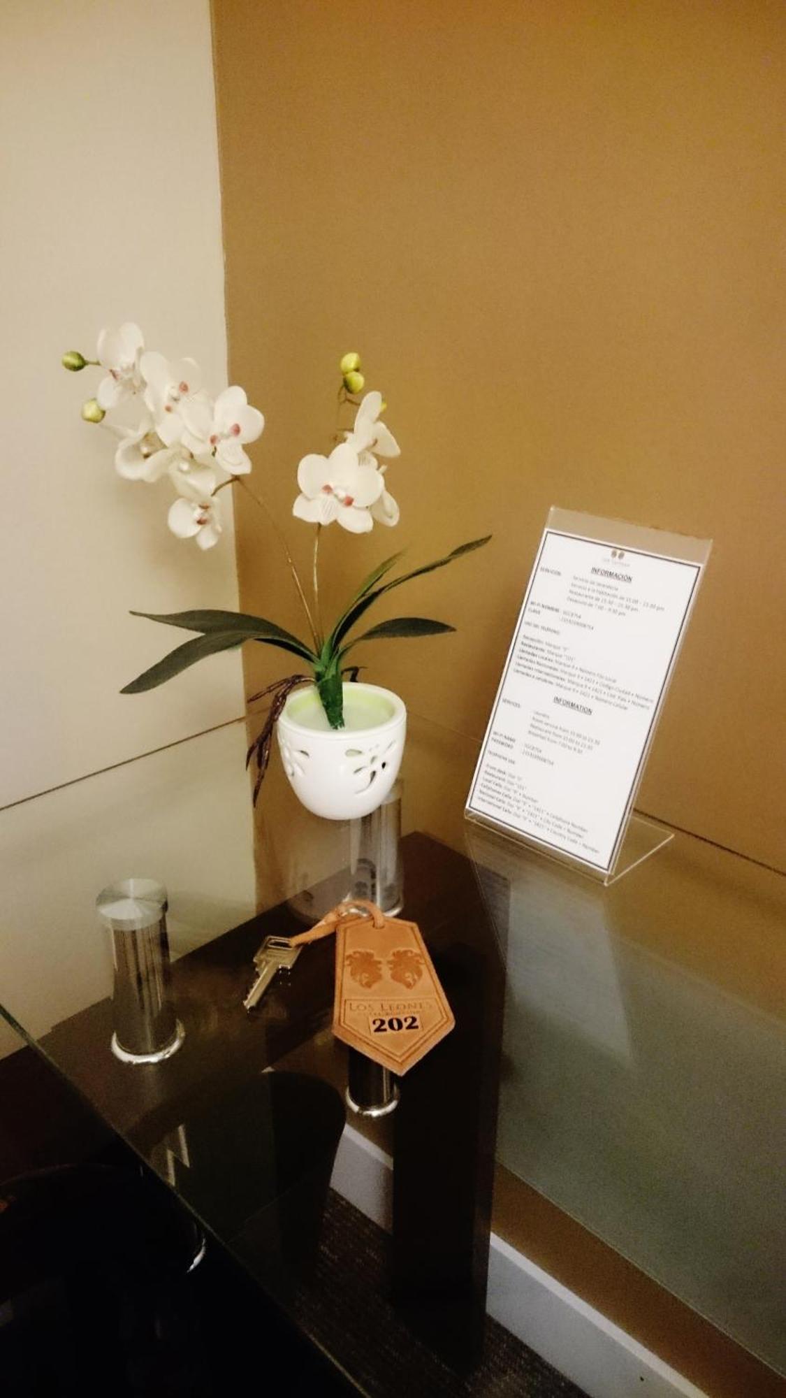 Los Leones Hotel Boutique Янауара Номер фото